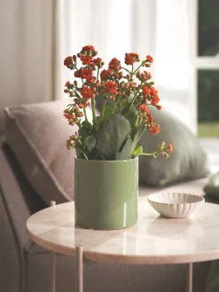 Blumentopf