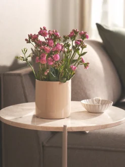 Blumentopf