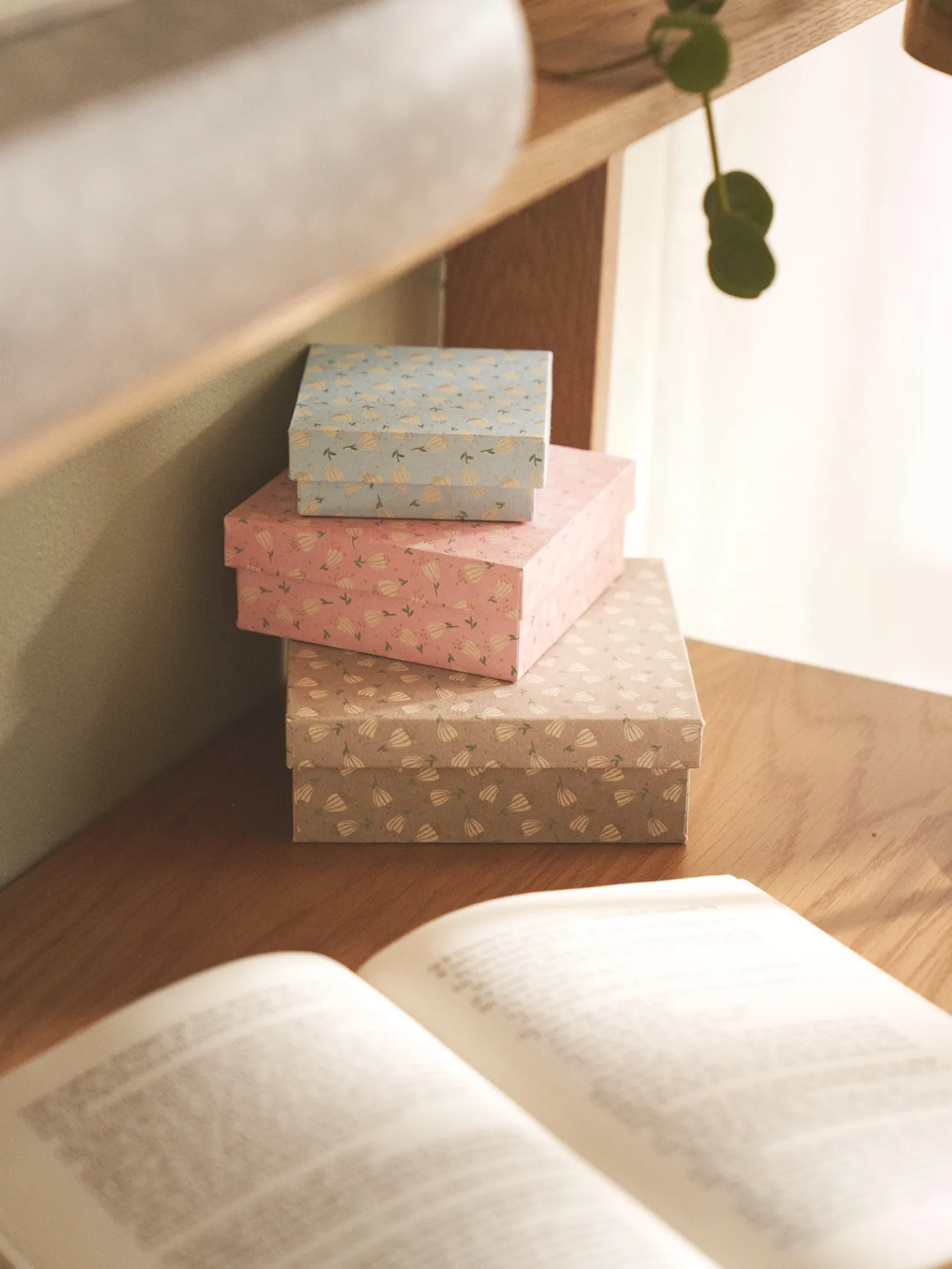Box
