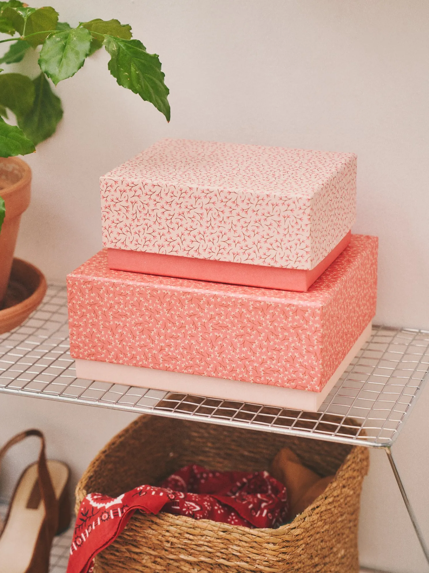 Box