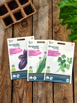 Buzzy® Bio-Schnittlauch Prager