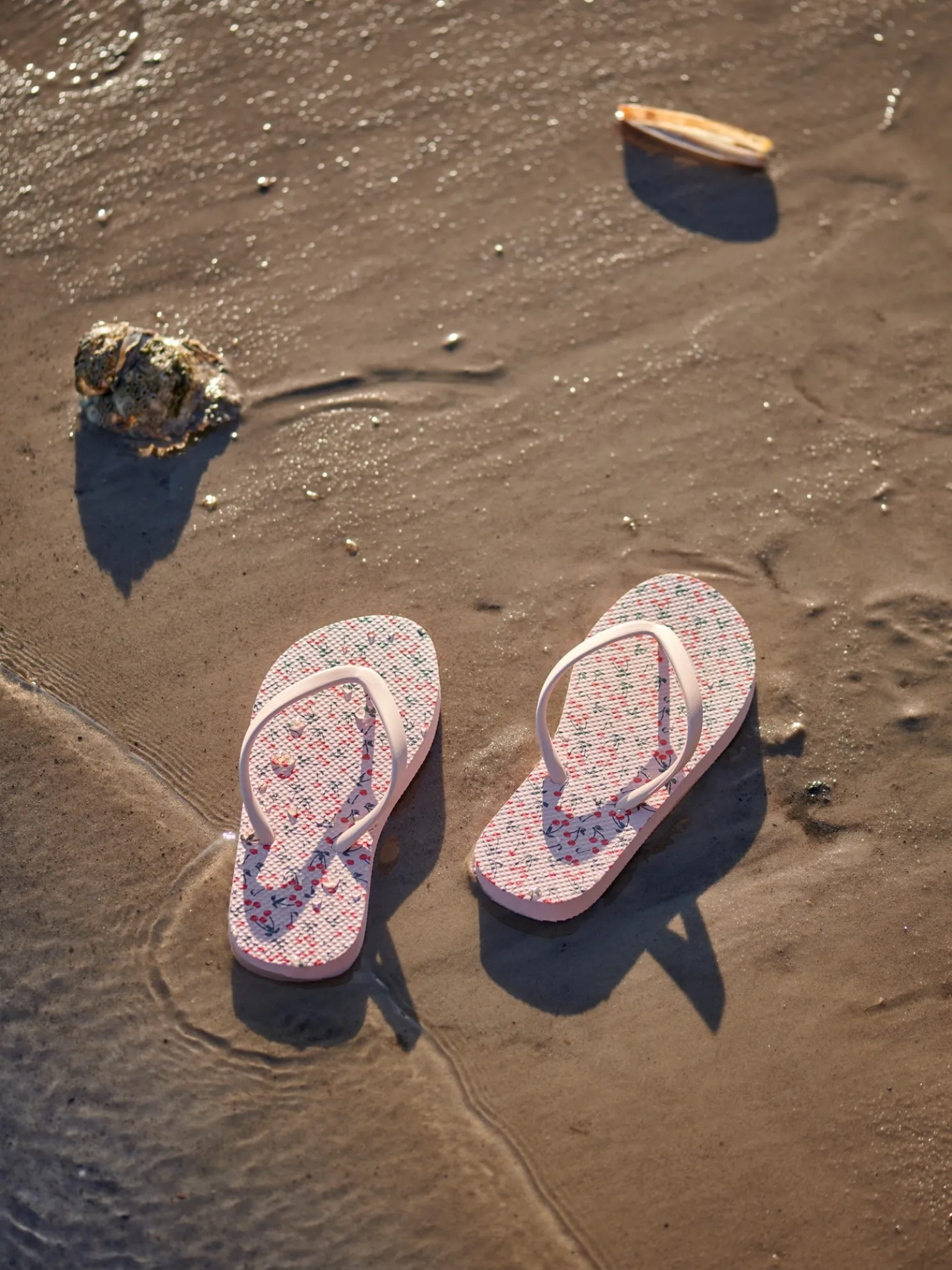 Flip-Flops
