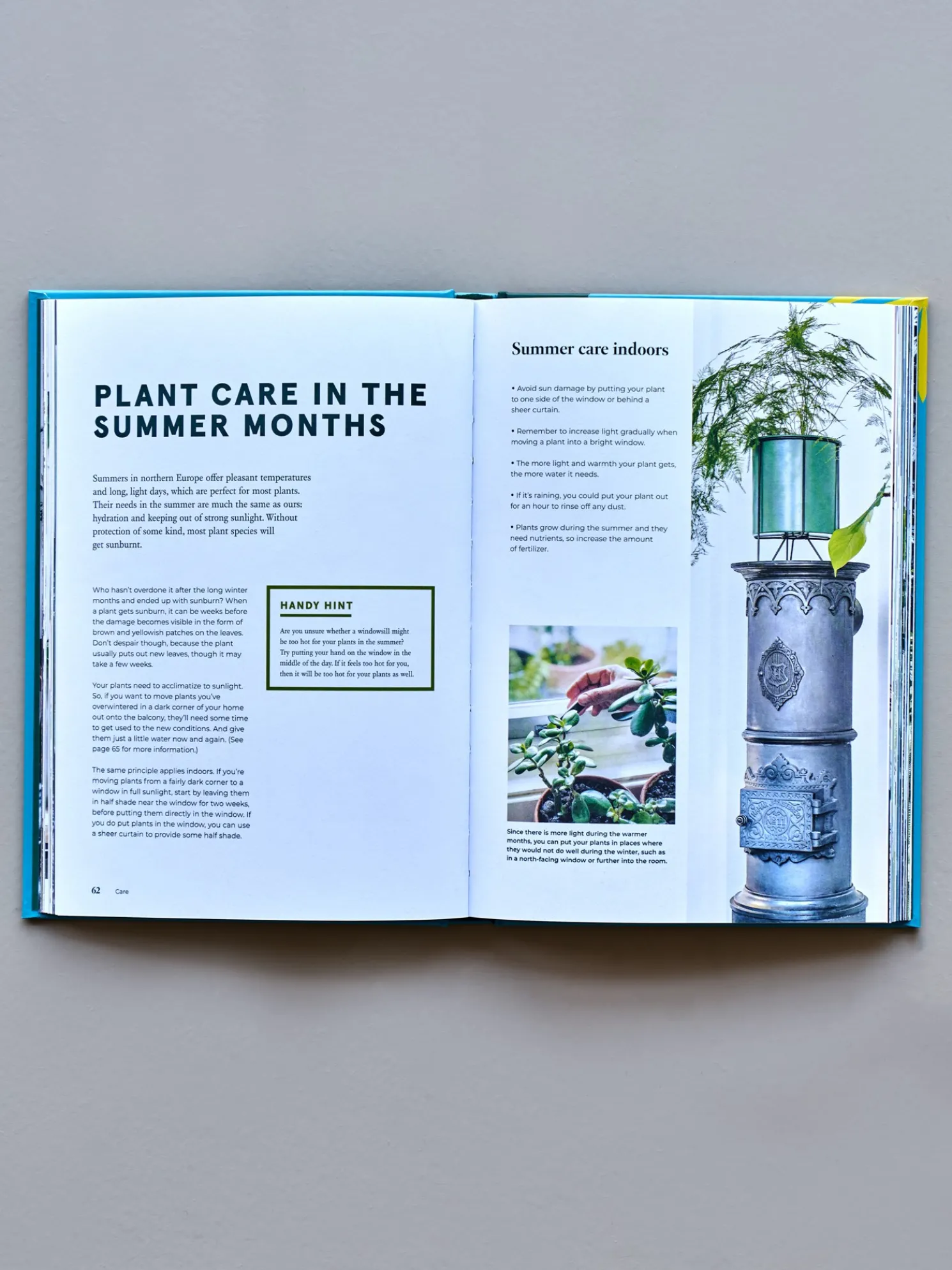 Green Home - The Joy Of Living With Plants