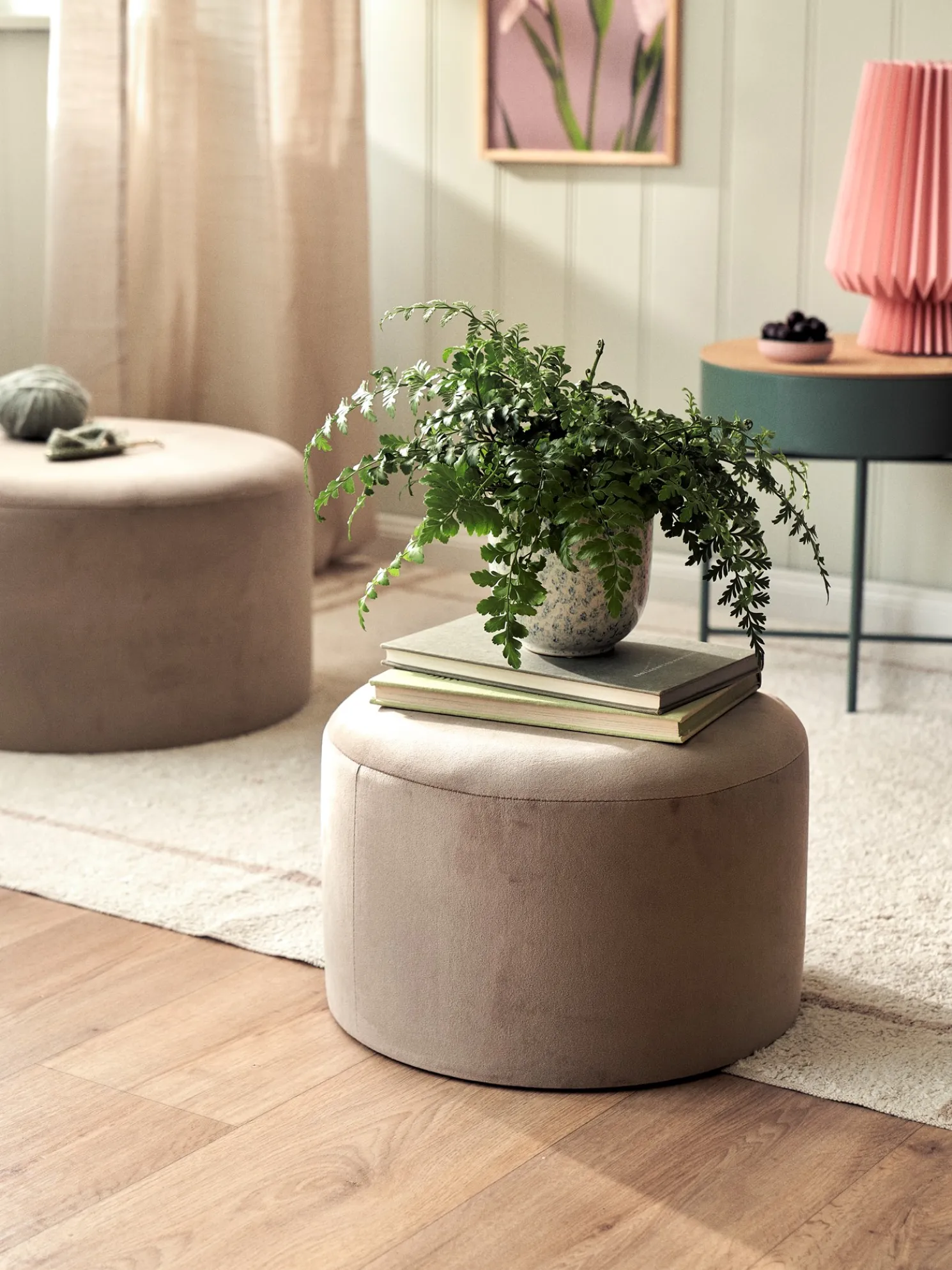 Hocker