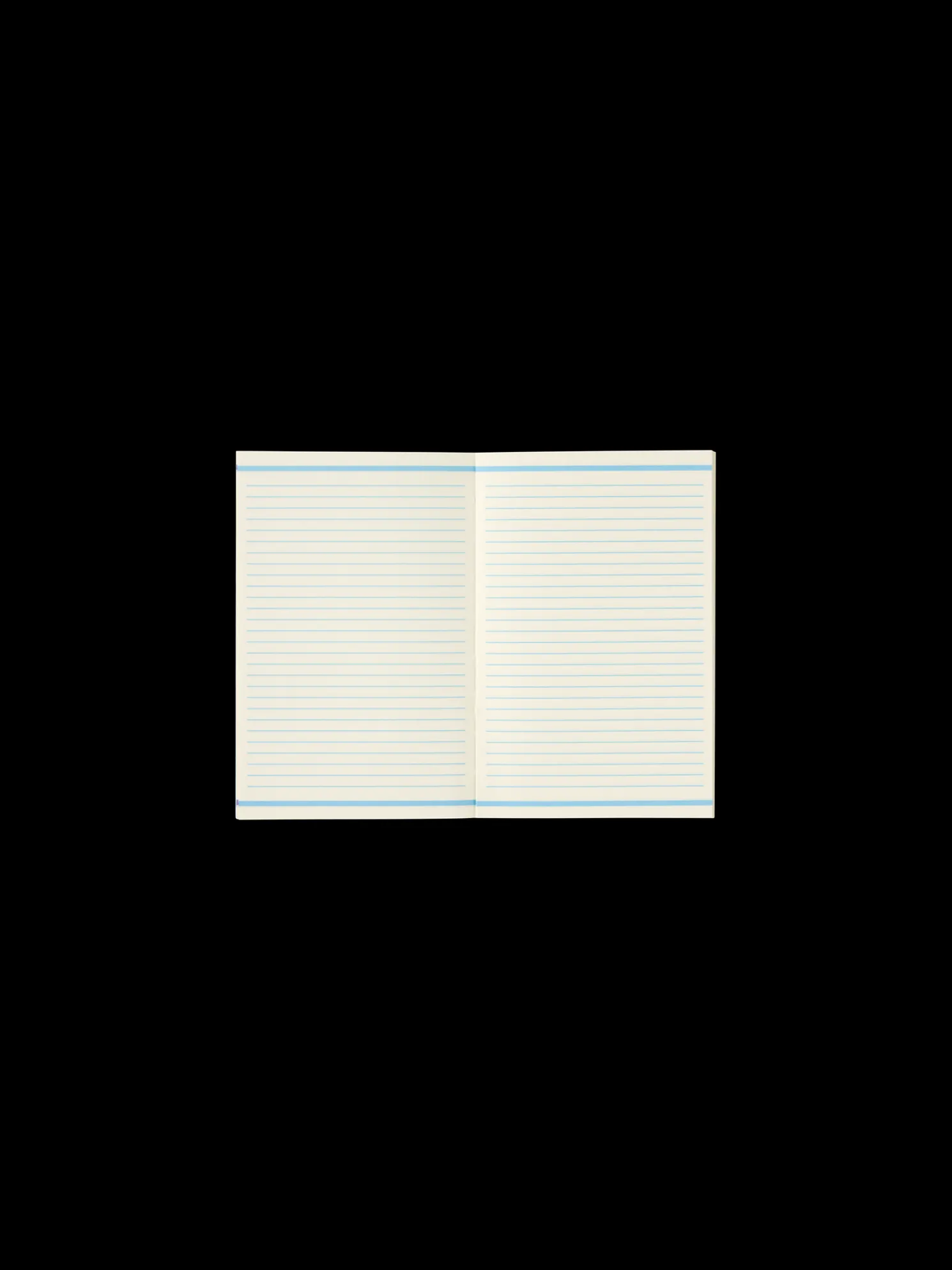 Notizbuch 11 X 17