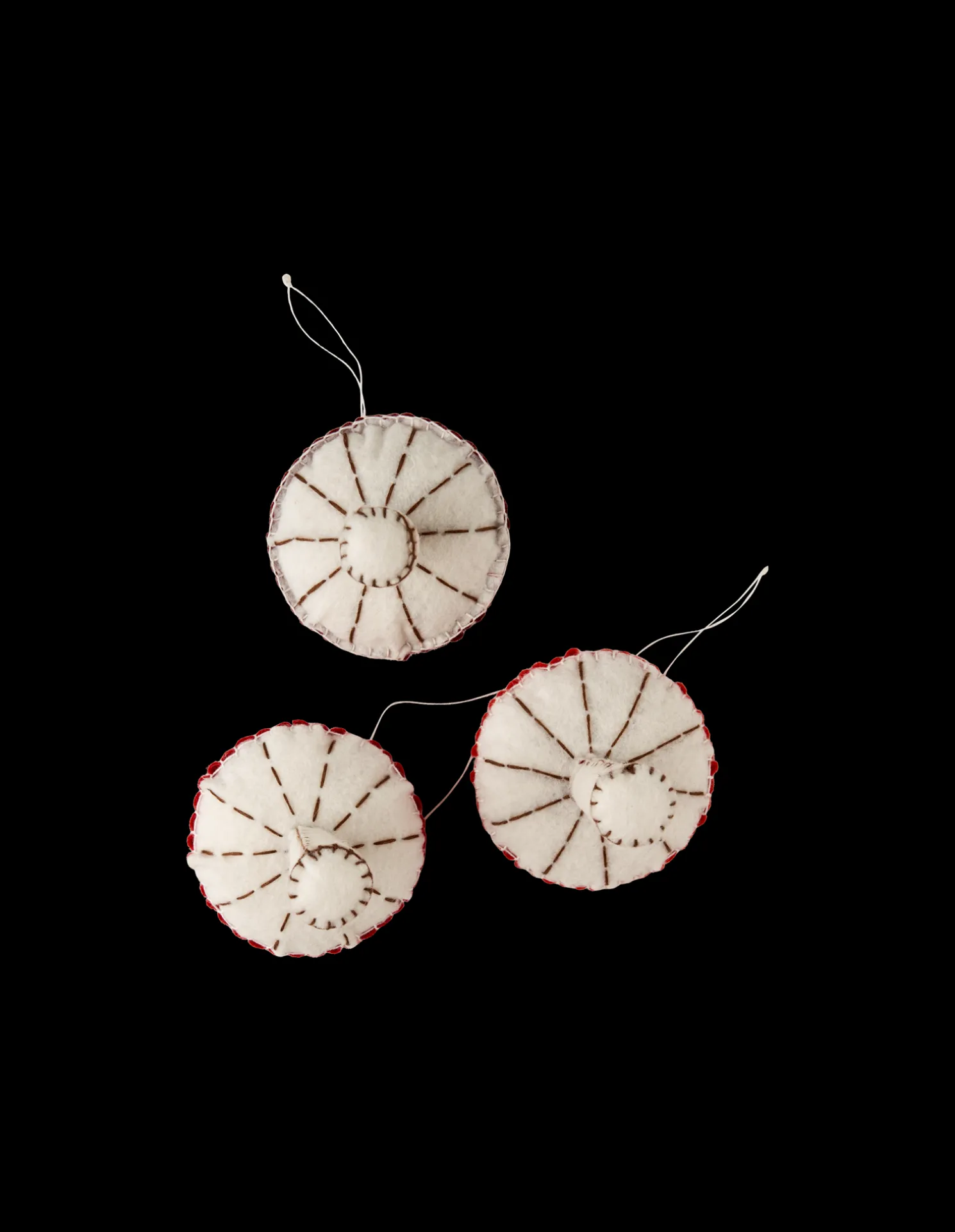 Pilz DIY-Set