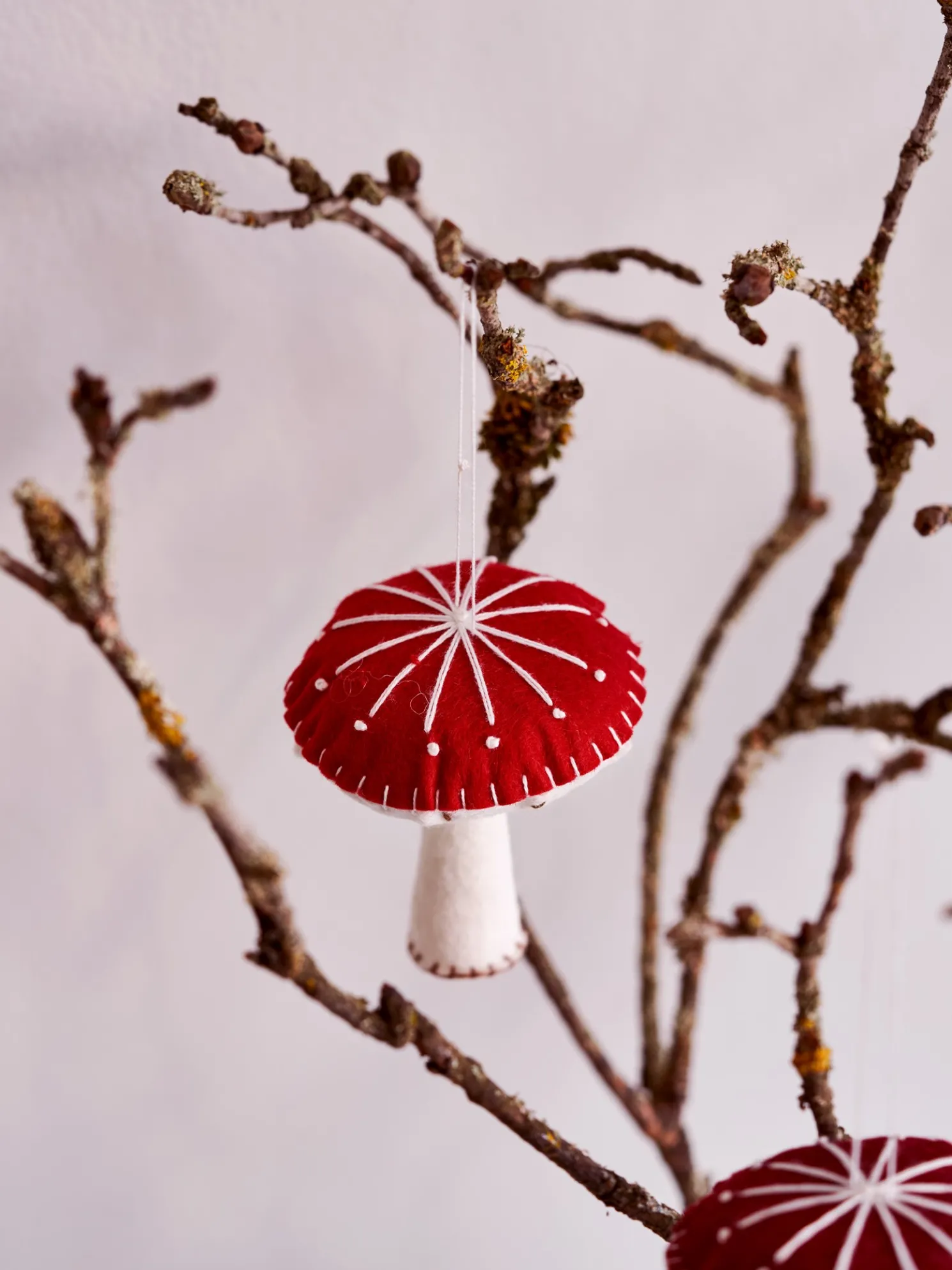 Pilz DIY-Set