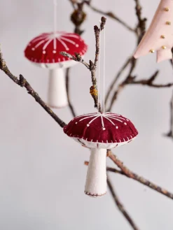 Pilz DIY-Set