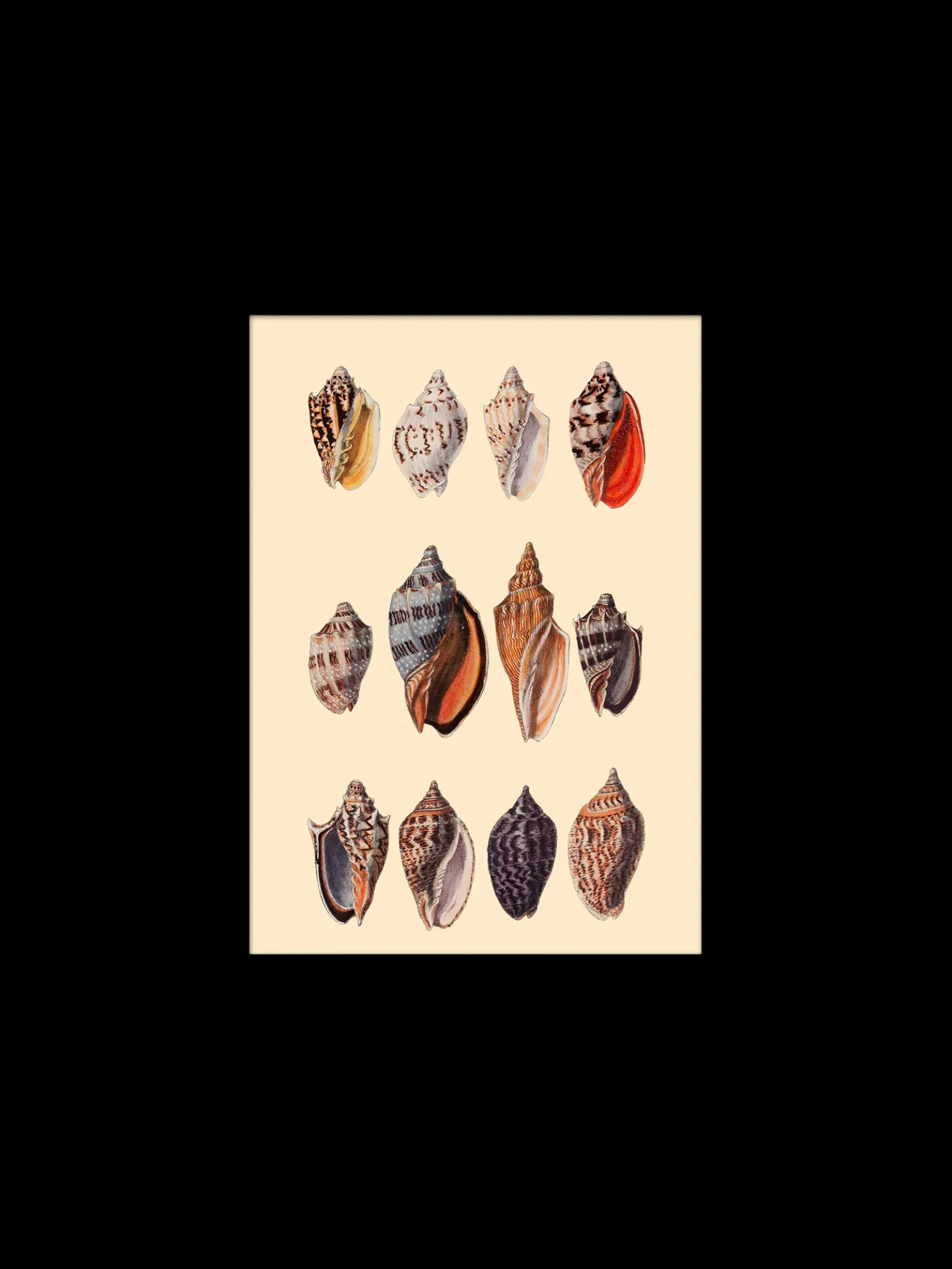 Poster 15 X 21