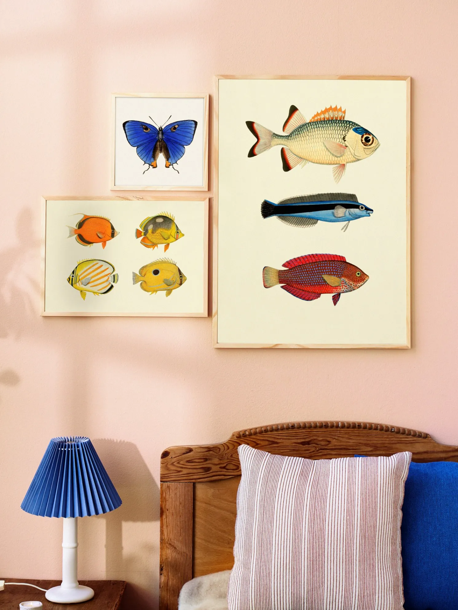 Poster 50 X 70