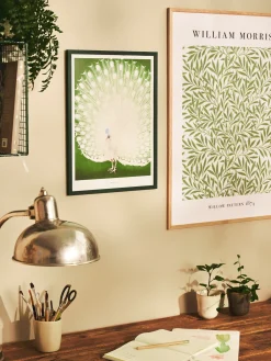 Poster Peacock A3