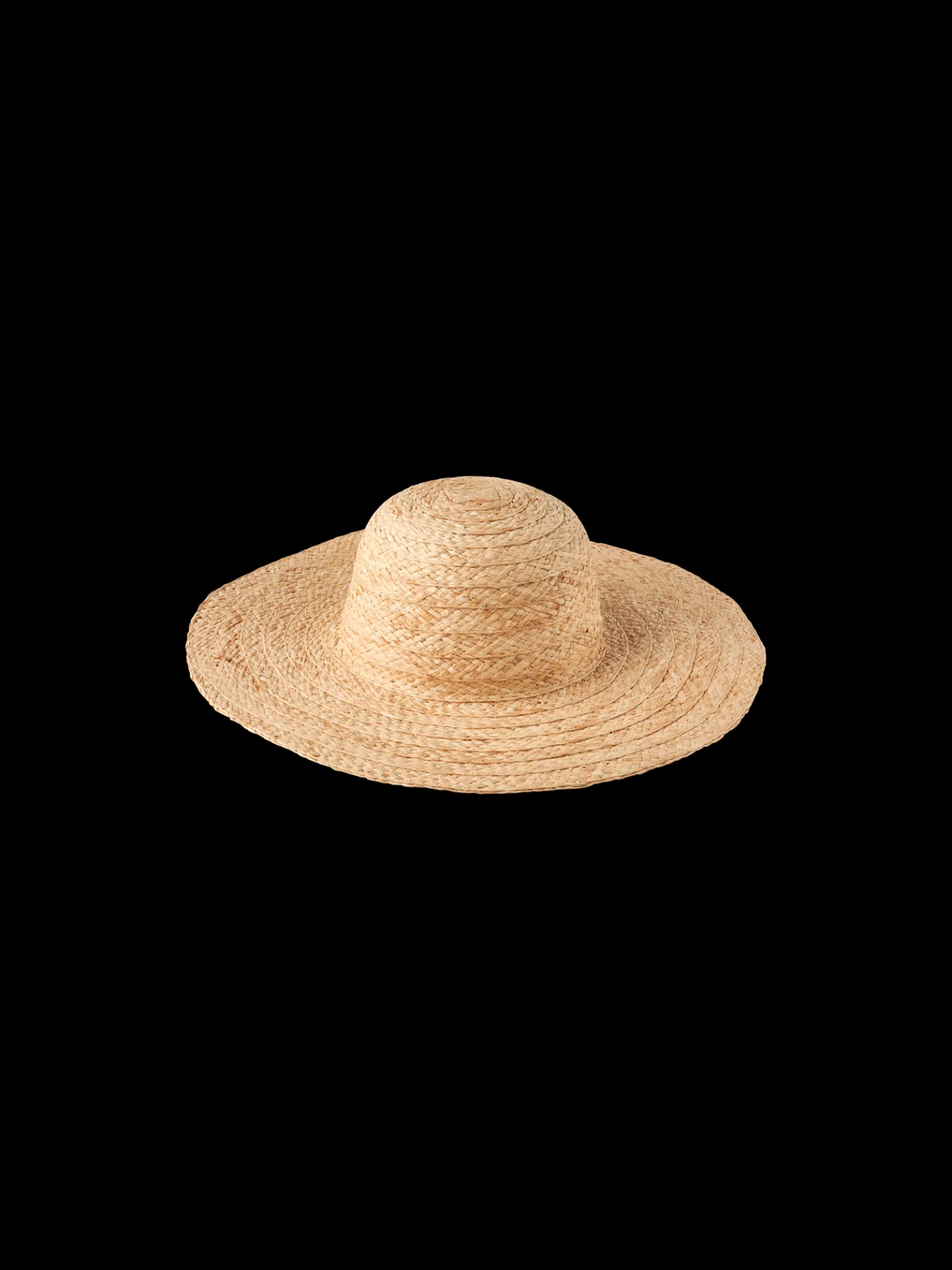 Sonnenhut