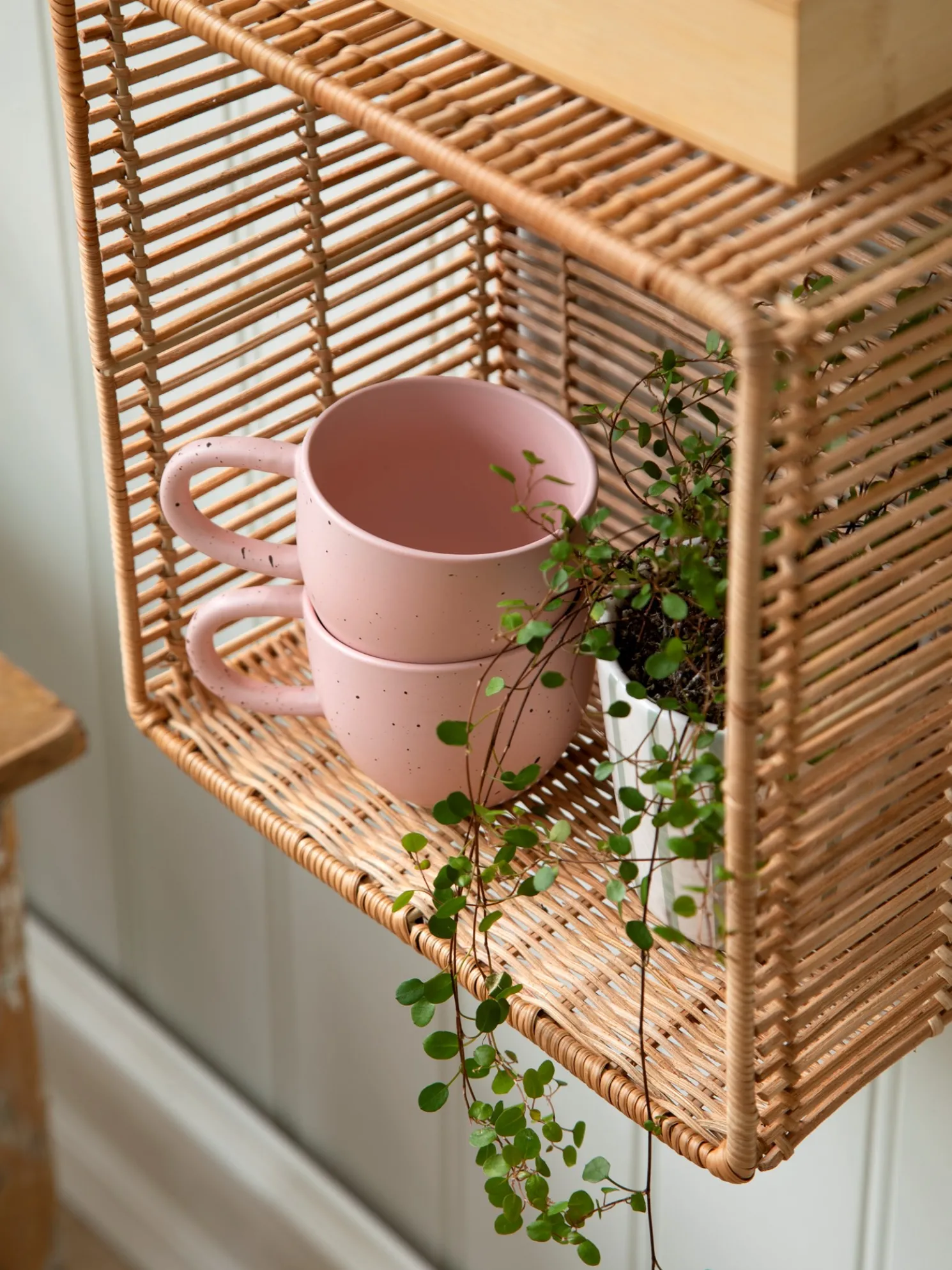 Tasse