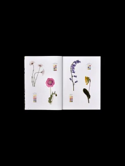 Wildflowers