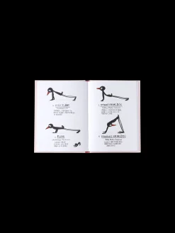 Yoga For Stiff Birds